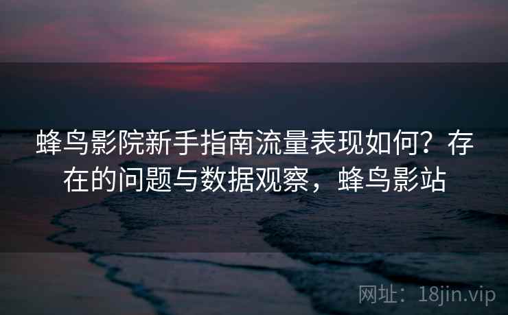 蜂鸟影院新手指南流量表现如何？存在的问题与数据观察，蜂鸟影站  第2张