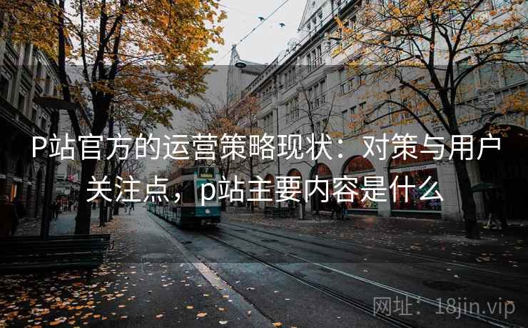 P站官方的运营策略现状：对策与用户关注点，p站主要内容是什么  第2张