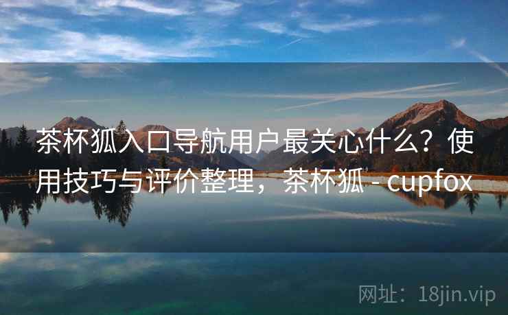 茶杯狐入口导航用户最关心什么？使用技巧与评价整理，茶杯狐 - cupfox  第2张