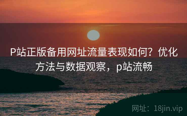 P站正版备用网址流量表现如何？优化方法与数据观察，p站流畅  第2张
