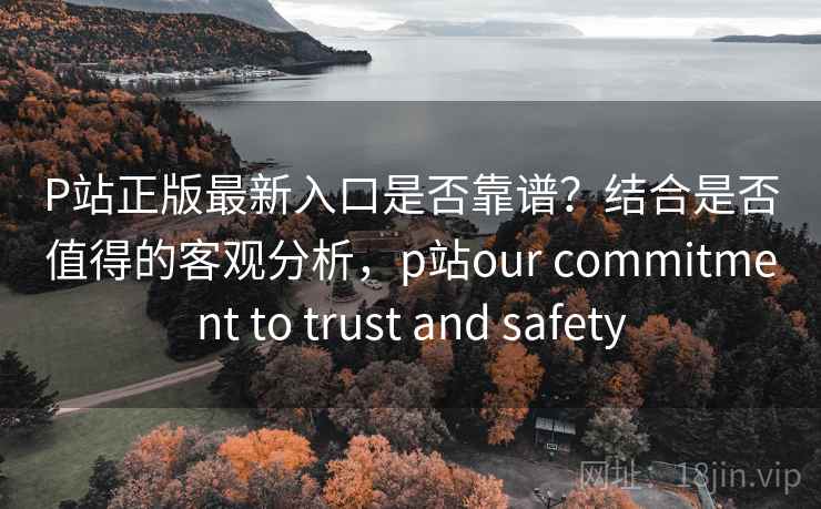 P站正版最新入口是否靠谱？结合是否值得的客观分析，p站our commitment to trust and safety  第1张