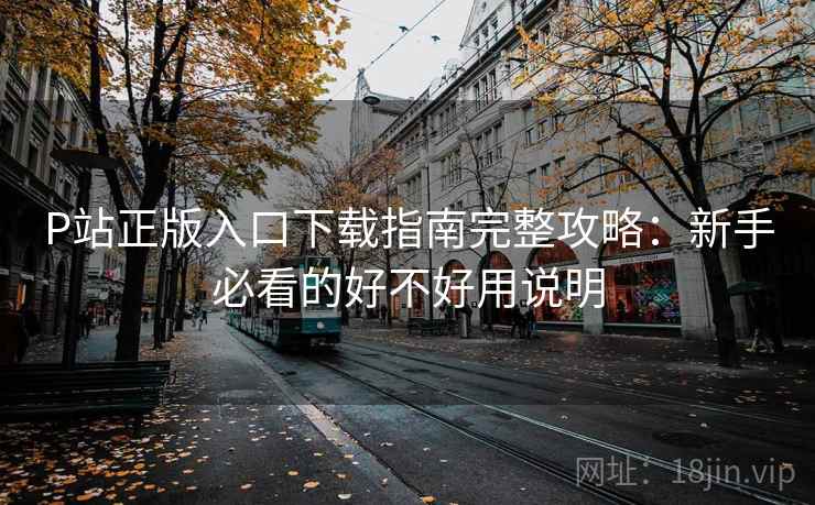 P站正版入口下载指南完整攻略：新手必看的好不好用说明  第1张