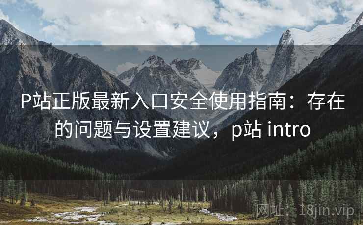 P站正版最新入口安全使用指南：存在的问题与设置建议，p站 intro  第2张