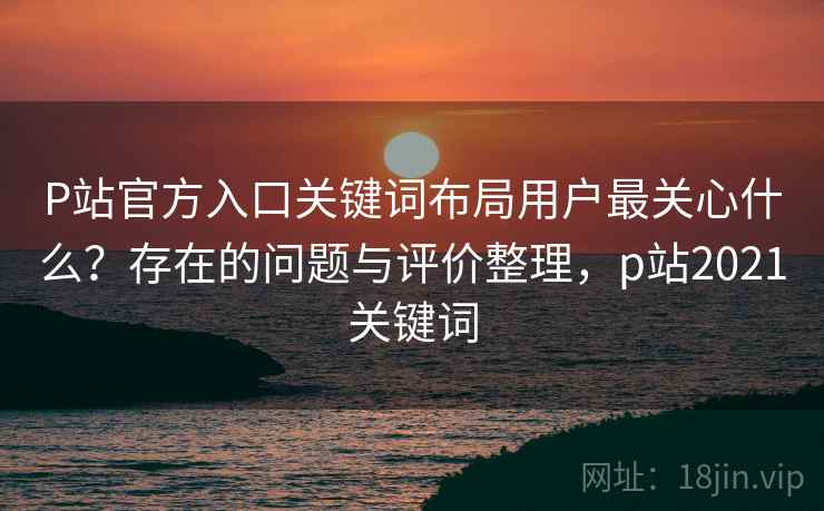 P站官方入口关键词布局用户最关心什么？存在的问题与评价整理，p站2021关键词  第2张