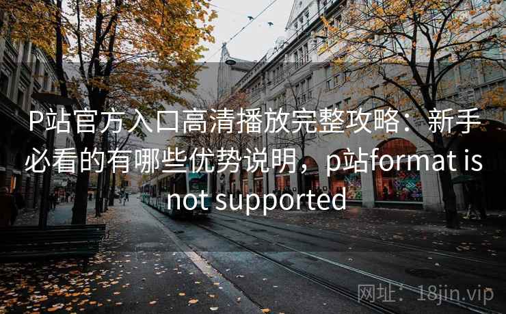 P站官方入口高清播放完整攻略：新手必看的有哪些优势说明，p站format is not supported  第1张