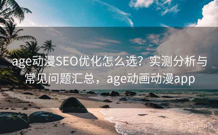 age动漫SEO优化怎么选？实测分析与常见问题汇总，age动画动漫app  第2张