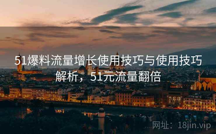 51爆料流量增长使用技巧与使用技巧解析，51元流量翻倍