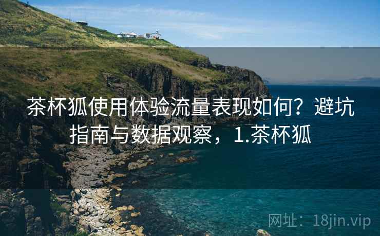 茶杯狐使用体验流量表现如何？避坑指南与数据观察，1.茶杯狐