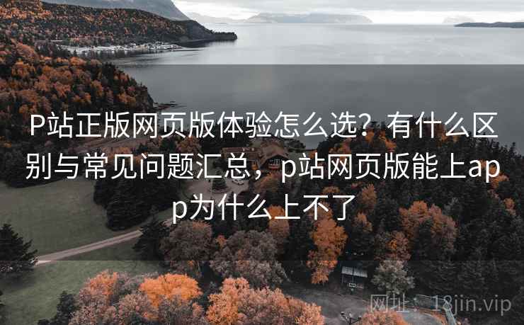 P站正版网页版体验怎么选？有什么区别与常见问题汇总，p站网页版能上app为什么上不了
