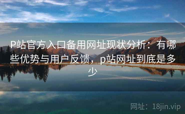 P站官方入口备用网址现状分析:有哪些优势与用户反馈,p站网址到底是多少 第2张 P站官方入口备用网址现状分析:有哪些优势与用户反馈,p站网址到底是多少 第2张