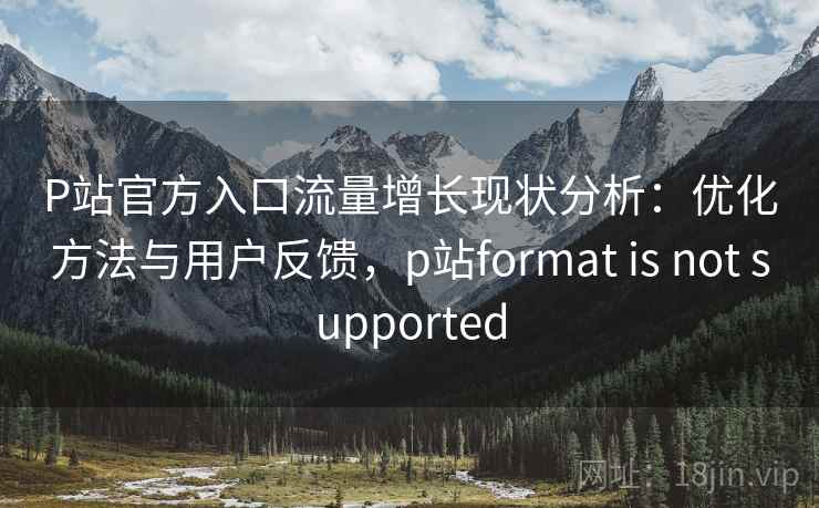 P站官方入口流量增长现状分析：优化方法与用户反馈，p站format is not supported