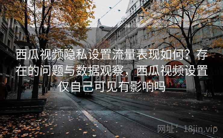 西瓜视频隐私设置流量表现如何?存在的问题与数据观察,西瓜视频设置仅自己可见有影响吗 第2张 西瓜视频隐私设置流量表现如何?存在的问题与数据观察,西瓜视频设置仅自己可见有影响吗 第2张
