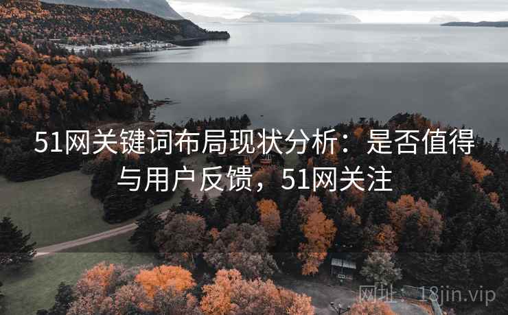 51网关键词布局现状分析：是否值得与用户反馈，51网关注