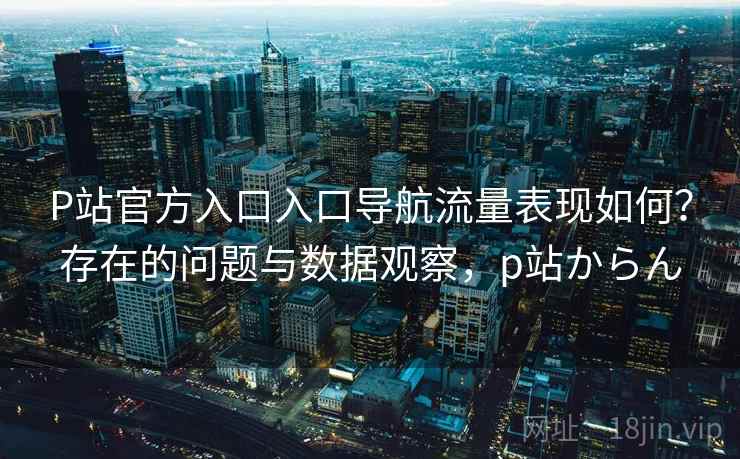 P站官方入口入口导航流量表现如何？存在的问题与数据观察，p站からん