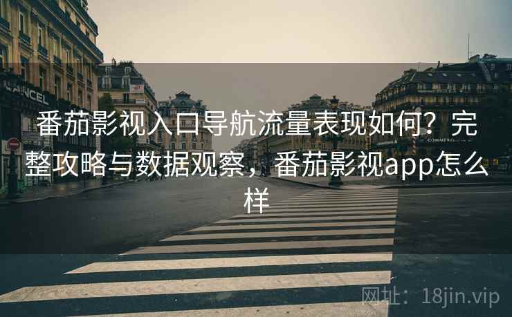 番茄影视入口导航流量表现如何？完整攻略与数据观察，番茄影视app怎么样