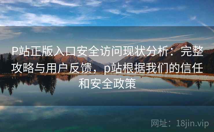 P站正版入口安全访问现状分析：完整攻略与用户反馈，p站根据我们的信任和安全政策