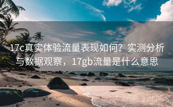 17c真实体验流量表现如何？实测分析与数据观察，17gb流量是什么意思  第1张