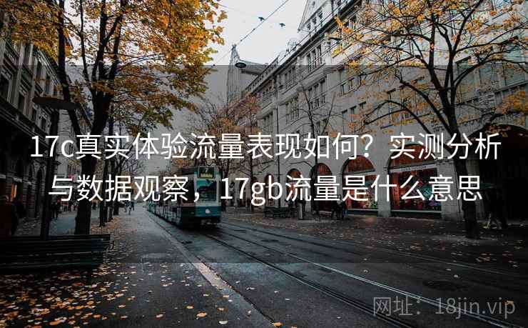 17c真实体验流量表现如何？实测分析与数据观察，17gb流量是什么意思  第2张