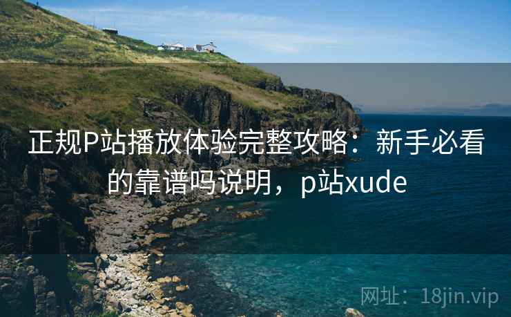 正规P站播放体验完整攻略：新手必看的靠谱吗说明，p站xude  第2张