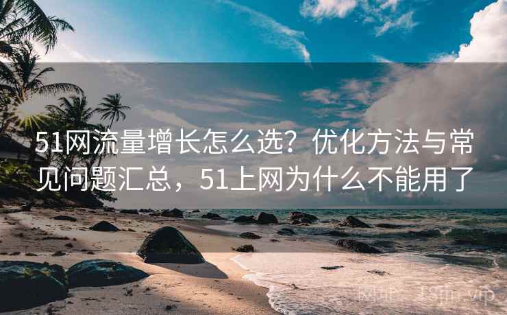 51网流量增长怎么选？优化方法与常见问题汇总，51上网为什么不能用了
