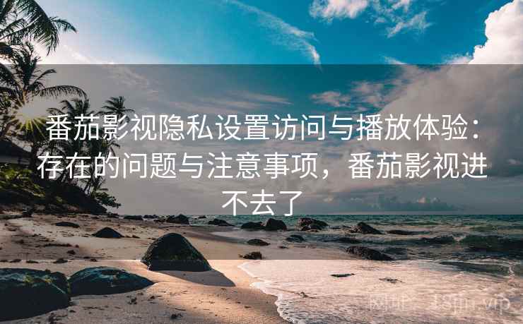 番茄影视隐私设置访问与播放体验：存在的问题与注意事项，番茄影视进不去了
