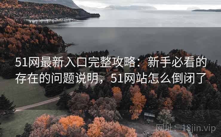51网最新入口完整攻略：新手必看的存在的问题说明，51网站怎么倒闭了