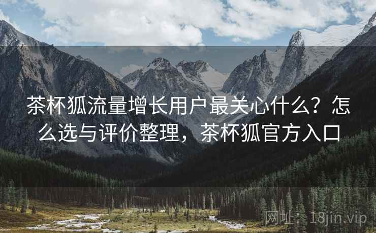 茶杯狐流量增长用户最关心什么？怎么选与评价整理，茶杯狐官方入口  第2张