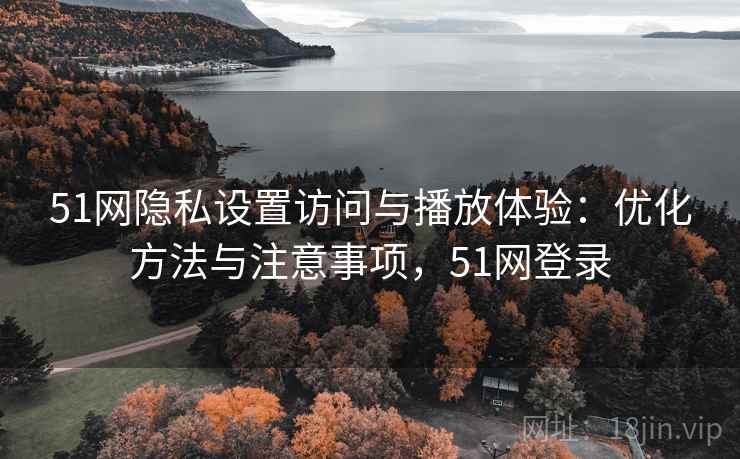 51网隐私设置访问与播放体验：优化方法与注意事项，51网登录