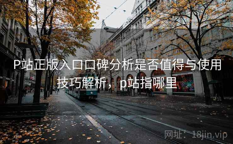 P站正版入口口碑分析是否值得与使用技巧解析,p站指哪里 第1张 P站正版入口口碑分析是否值得与使用技巧解析,p站指哪里 第1张