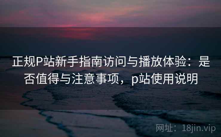 正规P站新手指南访问与播放体验：是否值得与注意事项，p站使用说明  第2张